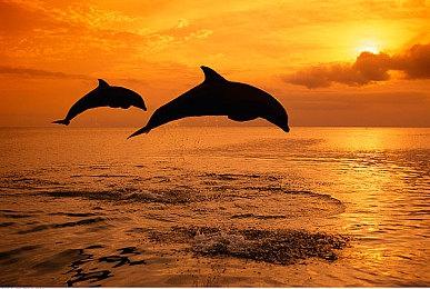 TGS 2021：多人合作游戏《直播！救援大作战》新预告